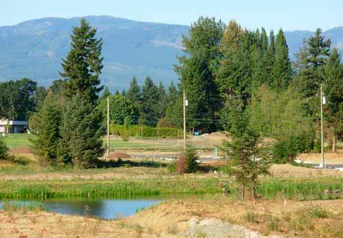 Courtenay city lot for sale
