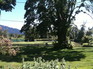 Lawn Tennis Court at Cowichan Bay, Vancouver Island BC
