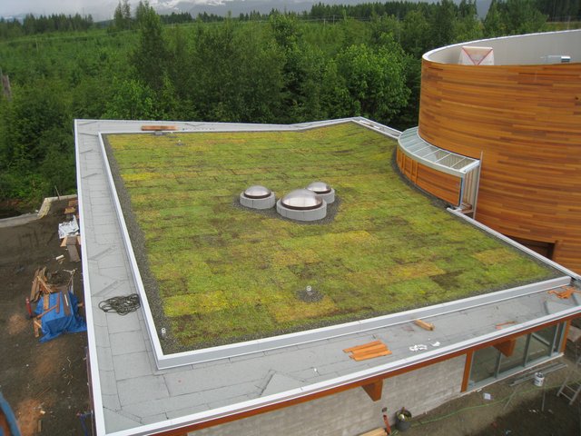 Nutmeg Homes Green Roof Builder Comox