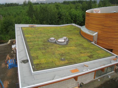 Green living Roof Builder Nutmeg Homes