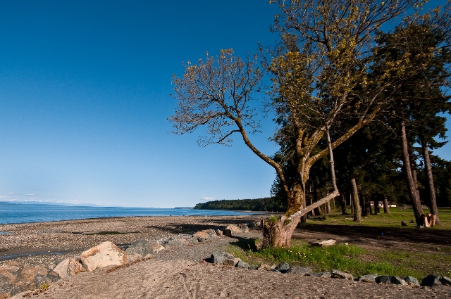 Qualicum Landing New Beachfront Homes on Vancouver Island